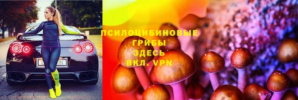 твердый Богородицк
