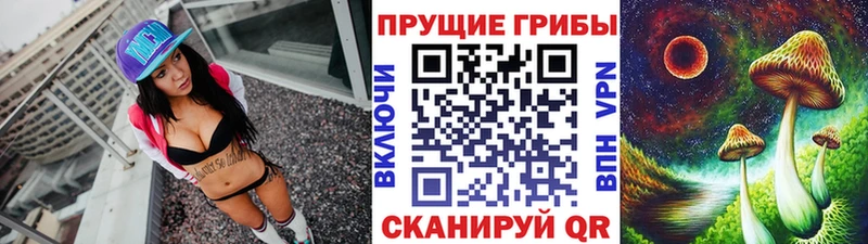 Псилоцибиновые грибы Cubensis  хочу наркоту  Калачинск 